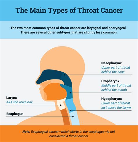 stage 4 hpv throat cancer survival rate.